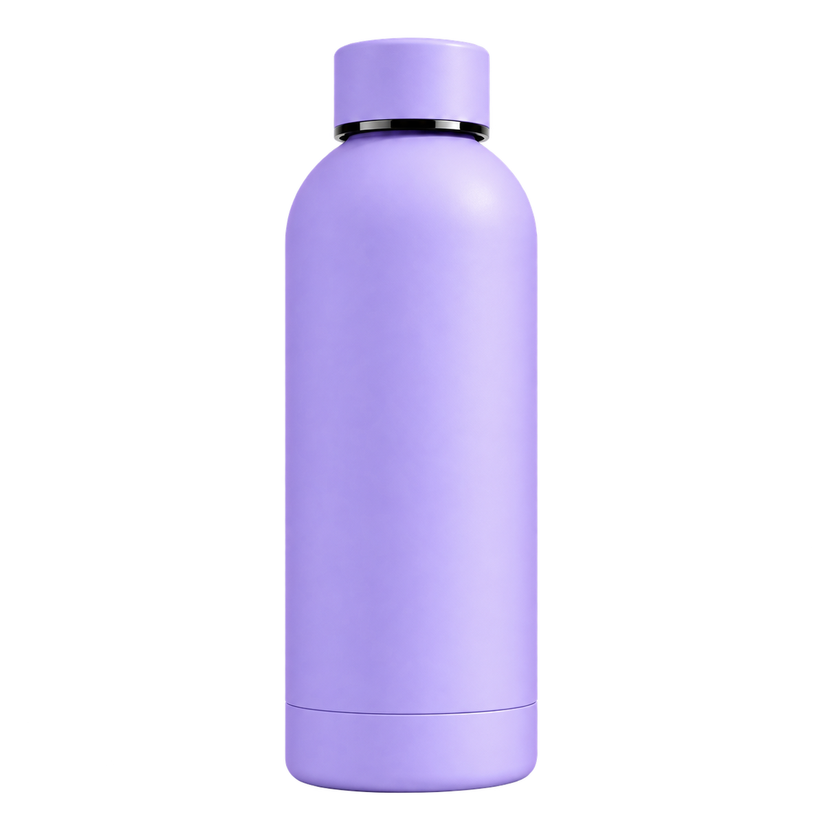 Botella Térmica 650ml