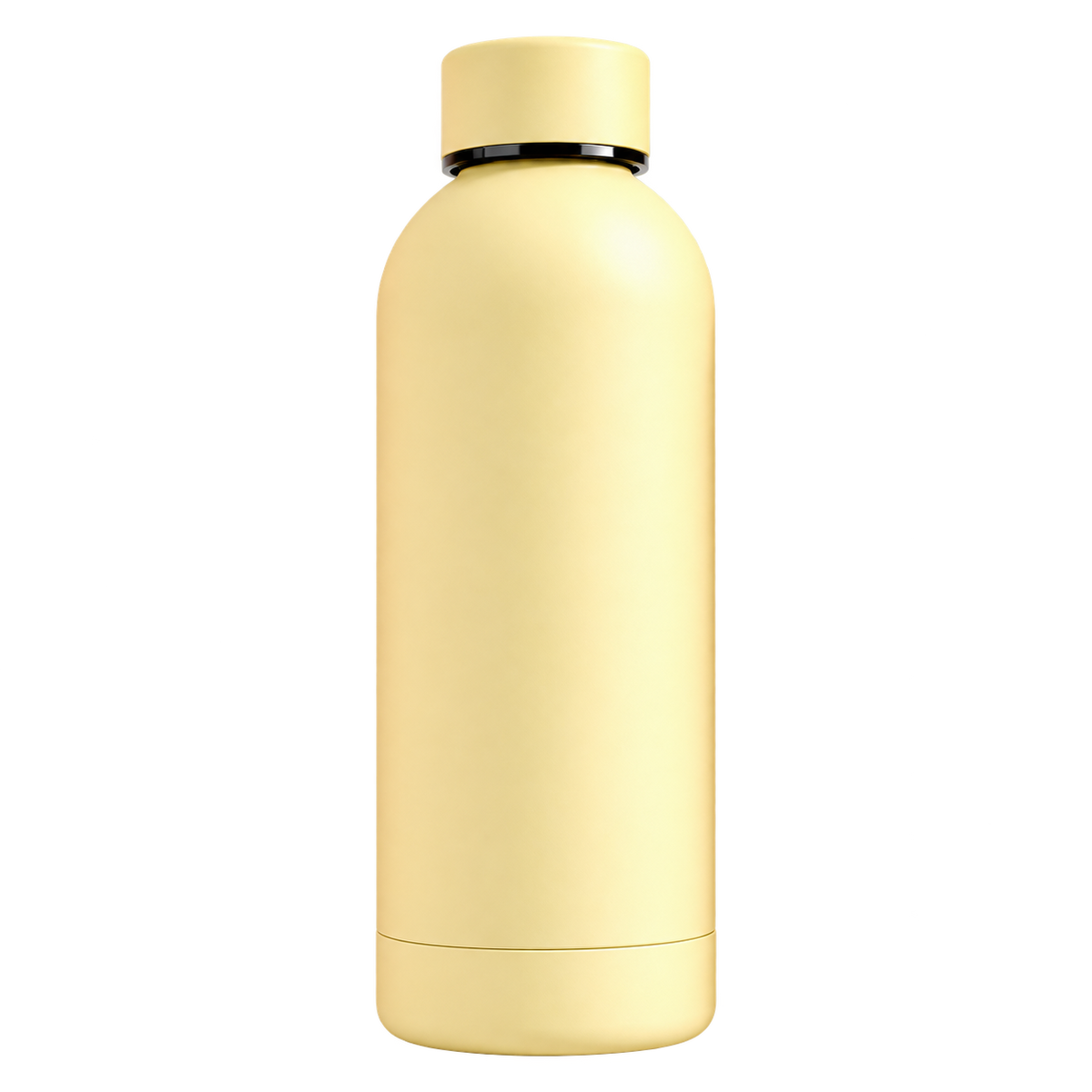 Botella Térmica 650ml