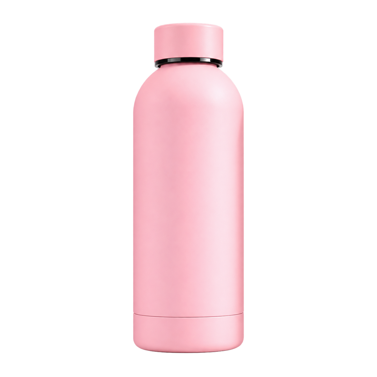 Botella Térmica 650ml