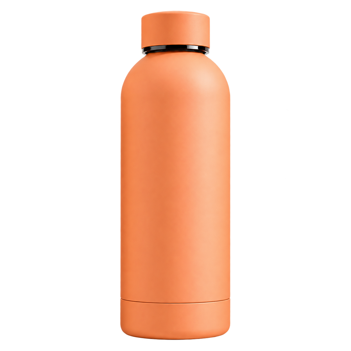 Botella Térmica 650ml