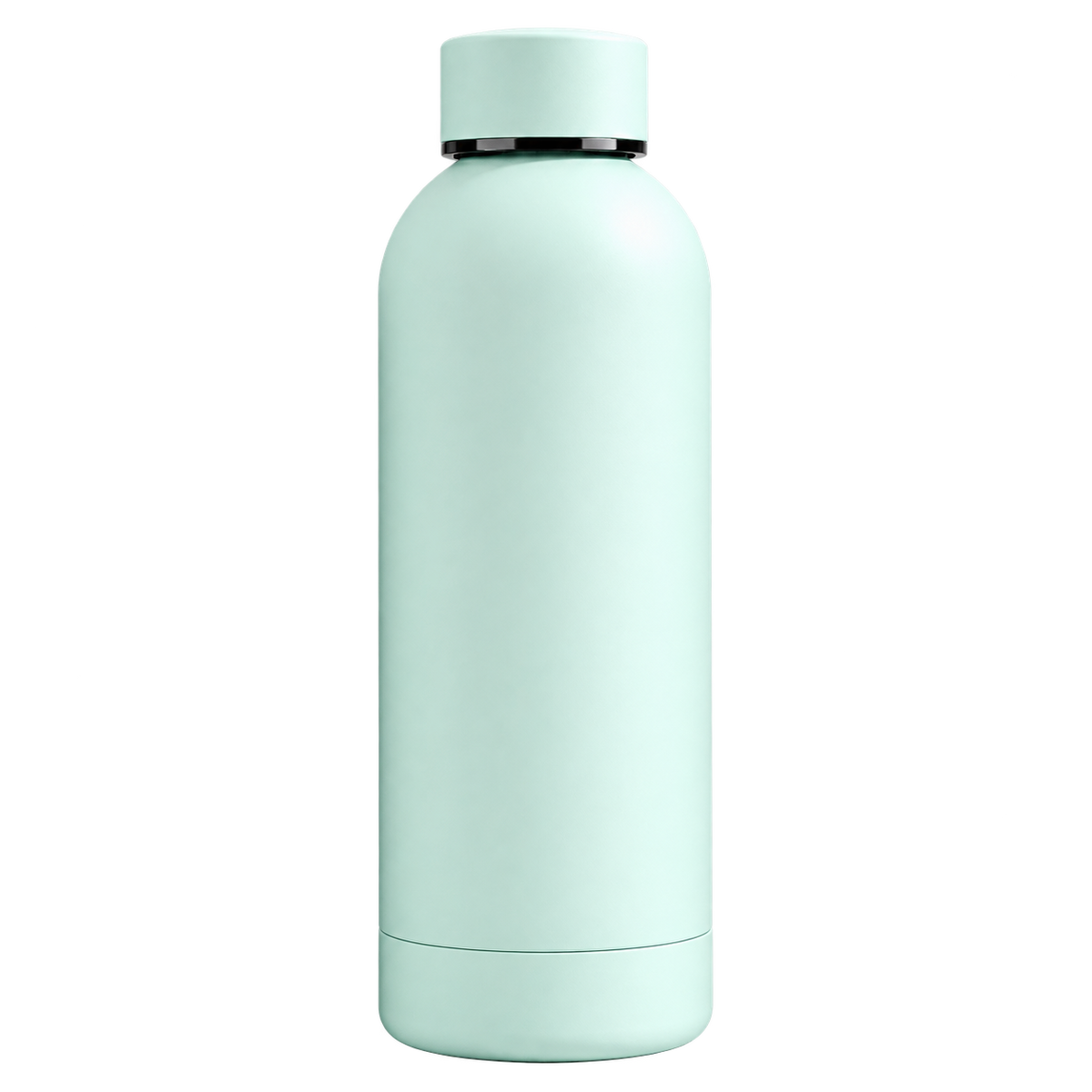 Botella Térmica 650ml